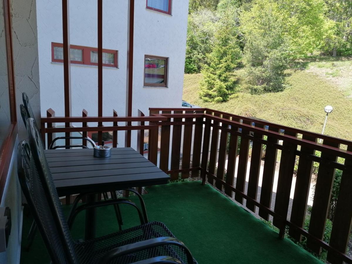 Ferienwohnung Am Schluchsee Mit Balkon & Pool エクステリア 写真
